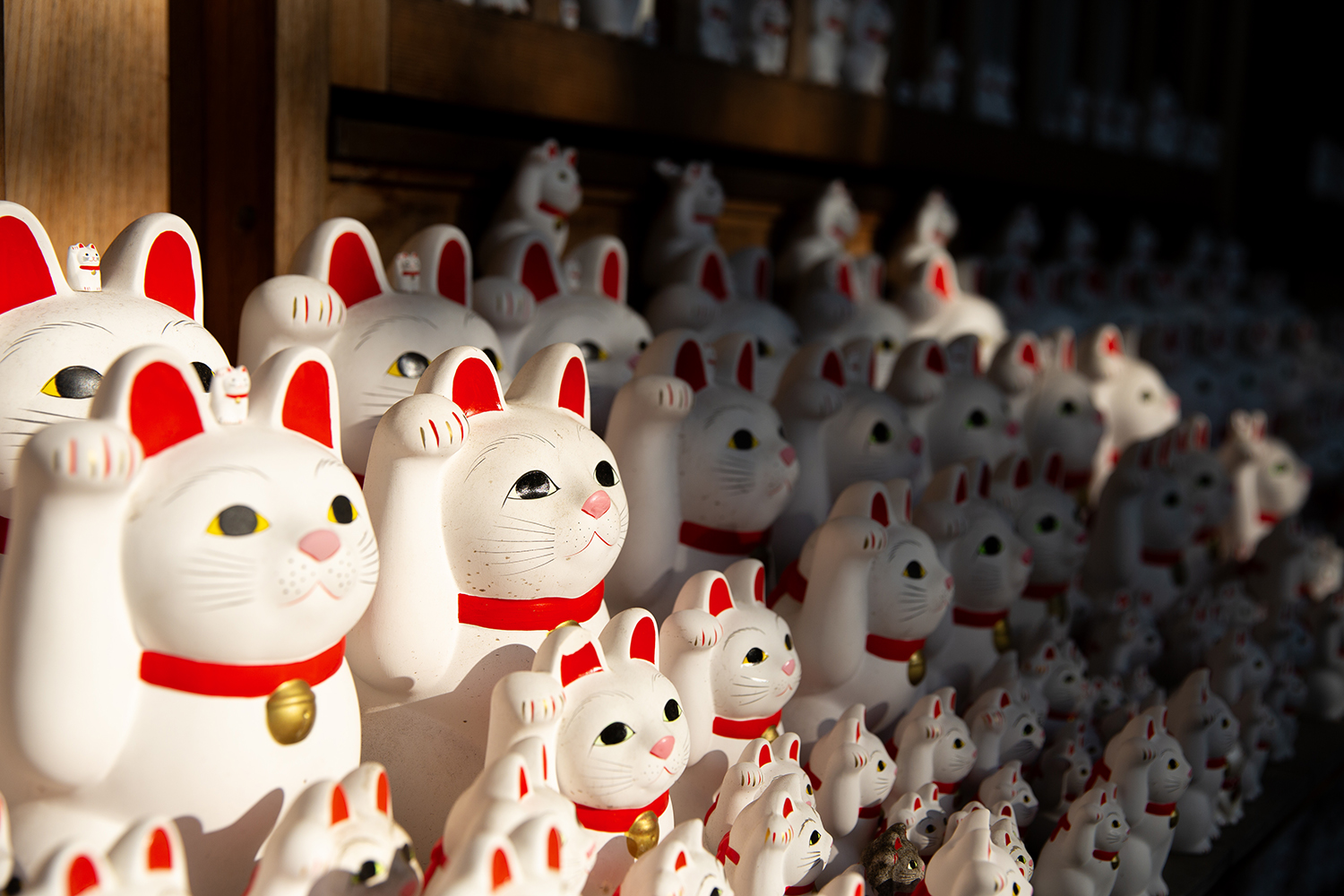 an image of cat statues